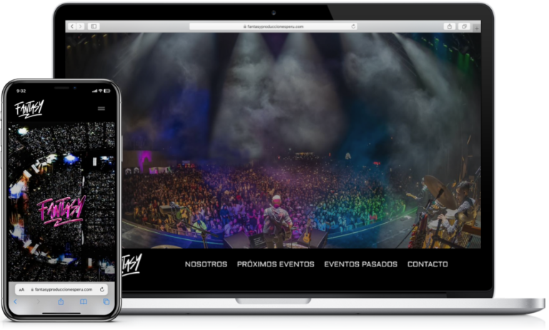 Diseño de sitios web12