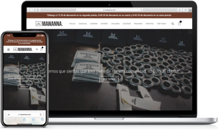 Diseño de sitios web10