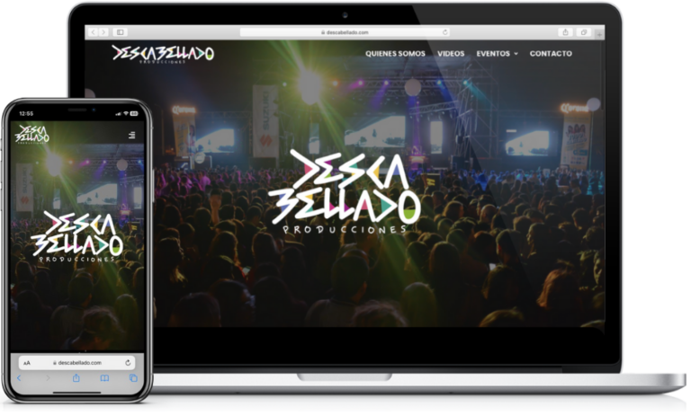 Diseño de sitios web43png