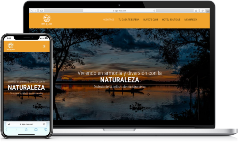 Diseño de sitios web52